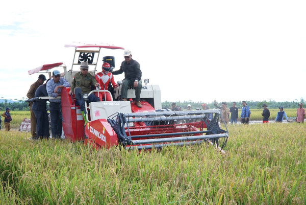 Siap Tembus Pasar Sarawak, Pemkab Sambas Kebut Dokumen dan Standarisasi Ekspor Beras Premium